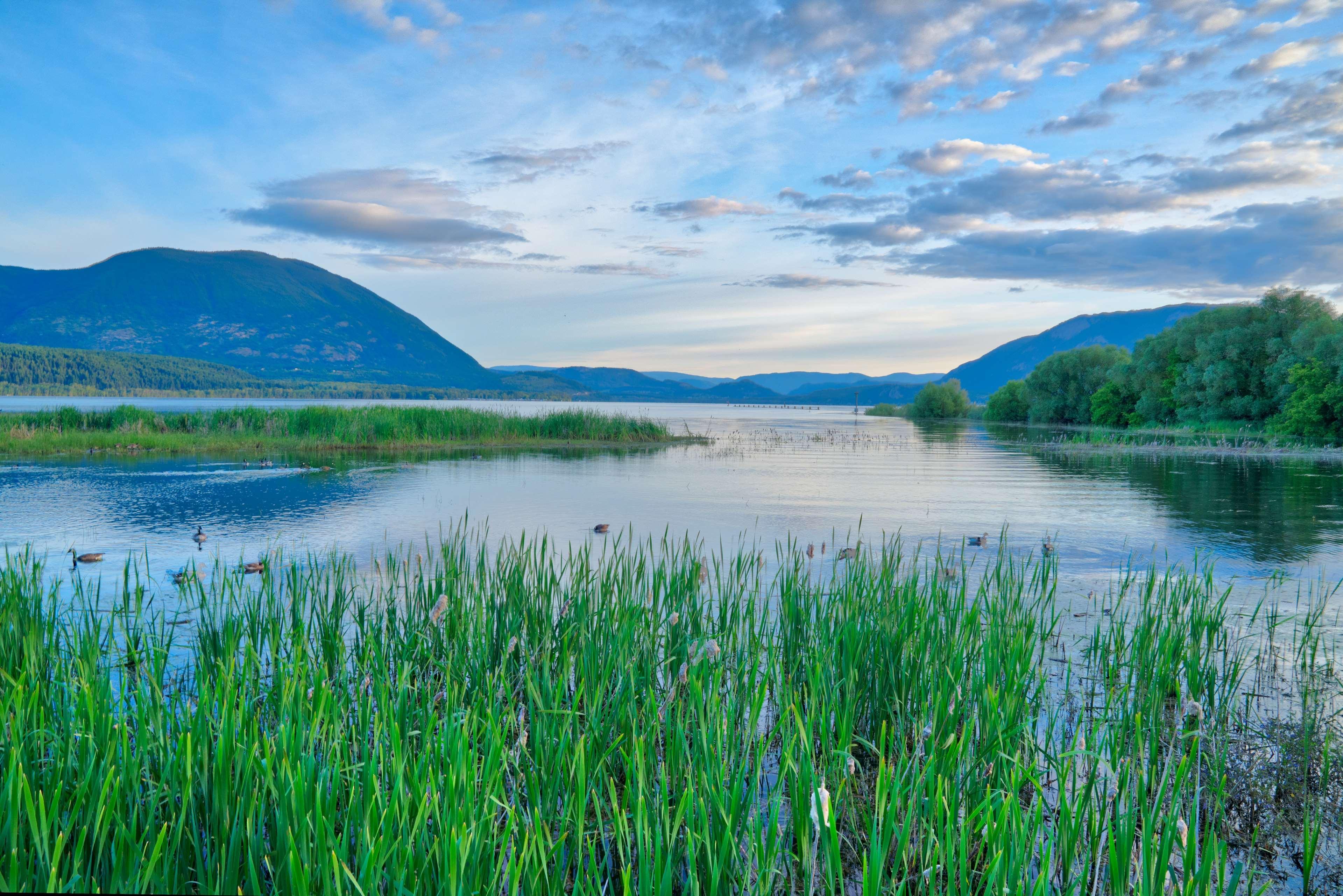 Prestige Harbourfront Resort; BW Premier Collection Salmon Arm Exterior foto
